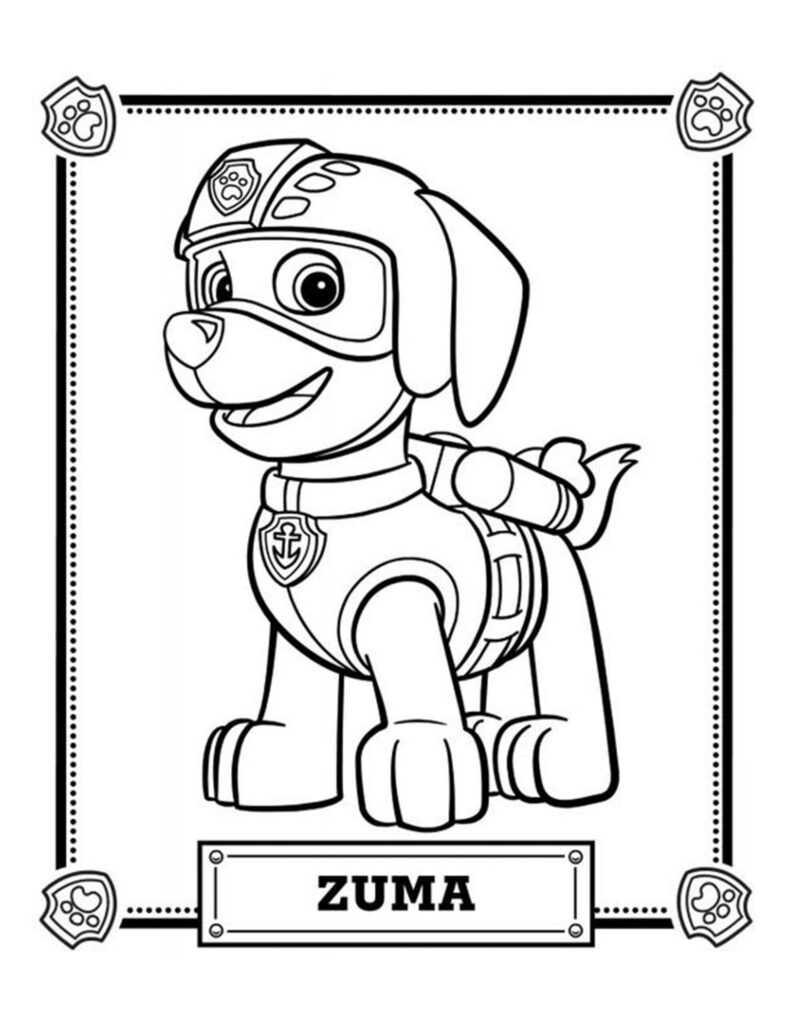 zuma paw patrol kleuren